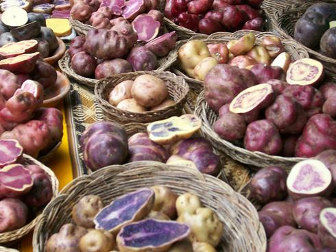 Hình ảnh khoai tây được bày bán tại một gian chợ ở Cusco, Peru.