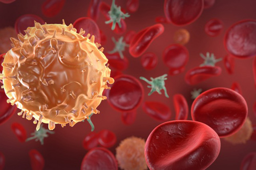 
Tế bào bạch huyết ở những đứa trẻ này không quan tâm đến virus HIV và để mặc cho chúng tồn tại. Nguồn ảnh: sciencealert
