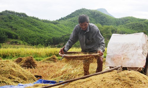 Sau bao năm không ngủ, ông Ngọc vẫn khỏe mạnh và làm việc bình thường. Ảnh: Nguyễn Thành.