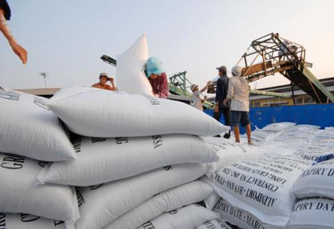 Gạo Việt ngày càng gặp nhiều khó khăn