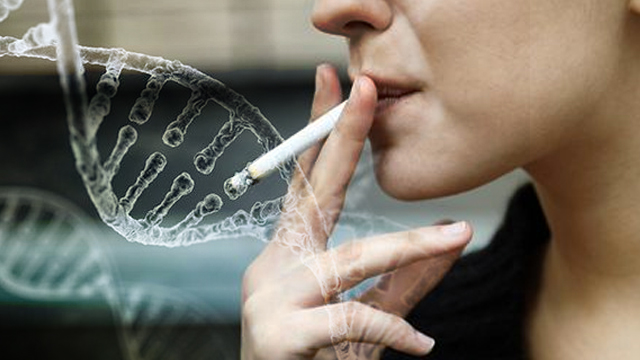 Hút thuốc lá gây tổn hại đến gen của bạn