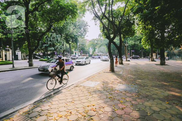  Mùa thu mang tới một vẻ đẹp thật đặc biệt khiến ai cũng phải nhớ, phải thương và hết lòng say đắm. 