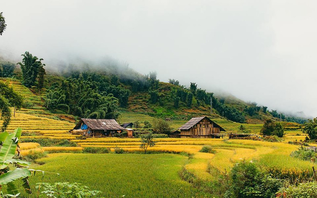 (Ảnh: Lê Quang Huy)