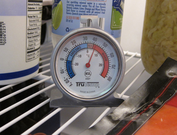 
Nên dùng nhiệt kế chuyên dụng trong tủ lạnh (Ảnh: Internet)
