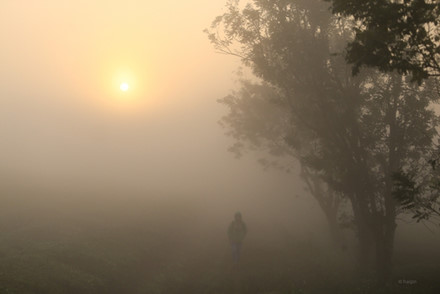 
Đi dạo trong sương sớm, giữa một vùng cao nguyên rộng lớn, yên tĩnh và trong lành chắc hẳn sẽ là một trải nghiệm thú vị. 
