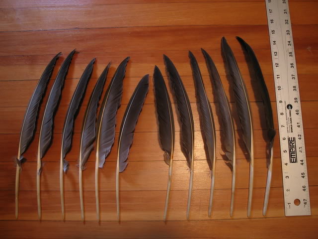 Cấu tạo lông ở 2 cánh khác nhau gây ảnh hưởng đến độ xoáy của cầu