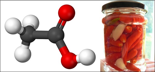 Cấu tạo của acid acetic - thành phần của dấm ăn.