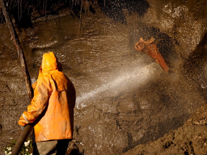 Mỗi chiếc ngà nặng gần 65 kg có giá 34.000 USD. Nếu được chạm khắc, mức giá sẽ tăng thêm hàng chục nghìn USD.