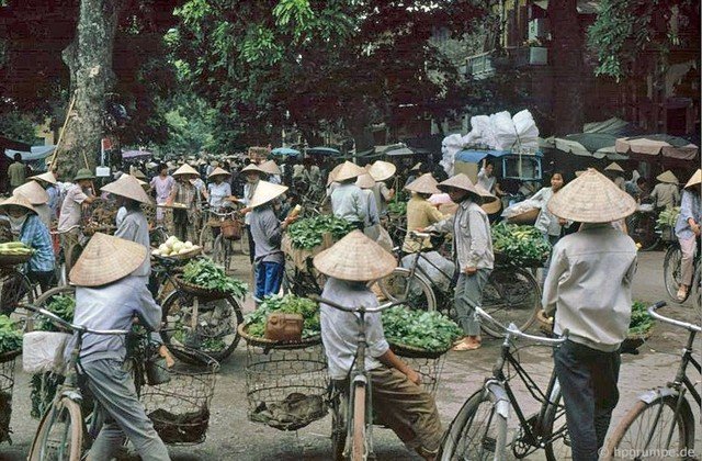 Các xe thồ chở rau, củ, quả... từ các nơi đổ về tại chợ đầu mối từ sáng sớm.