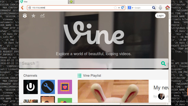 Subdomain của Vine.