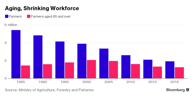 Lực lượng nông dân Nhật Bản ngày càng giảm trong khi số nông dân độ tuổi trên 65 ngày càng tăng.