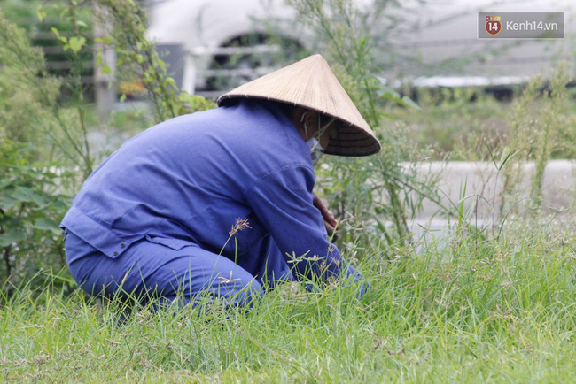 
Tiết lộ từ các công nhân này cho biết, họ đến từ Công ty Vườn thú Hà Nội (Công ty TNHH MTV Vườn thú Hà Nội) và thực hiện cắt cỏ theo tháng. Khi hỏi thông tin những nhân viên này từ chối không chia sẻ.
