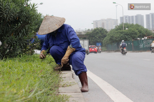 Một số công nhân miệt mài nhặt rác...