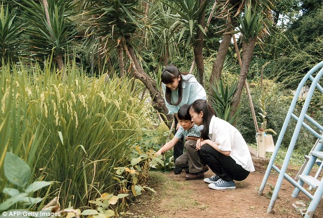 Hoàng tử Hisahito thường làm vườn cùng với hai chị gái của mình.