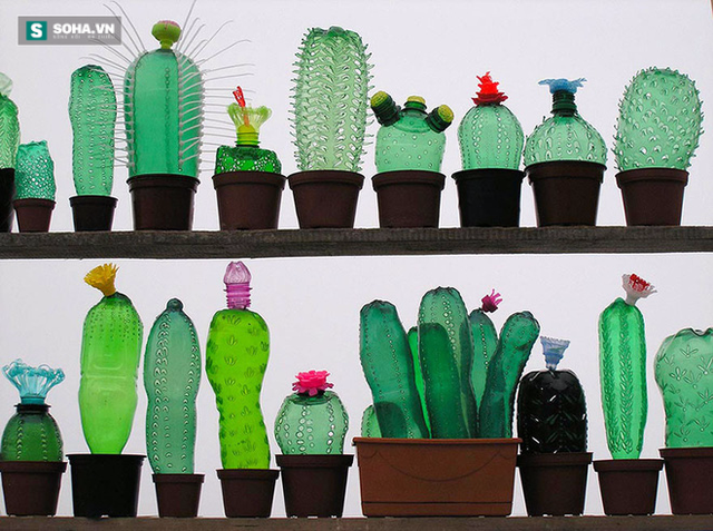 
Có nhiều cách để tái sử dụng chai nhựa, không cứ phải dùng nó để đựng đồ uống (Ảnh minh họa)
