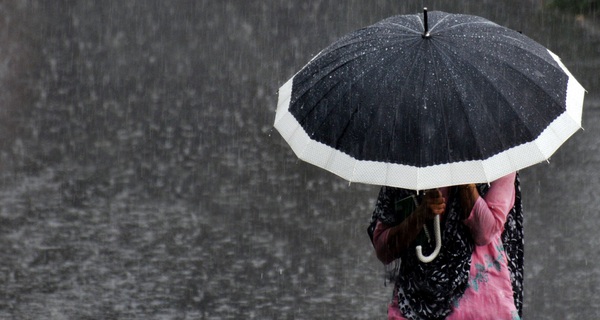 Bài học làm người từ chiếc ô