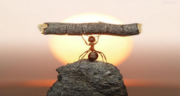 Hãy cứ làm công việc đó đi dù bạn ghét nó