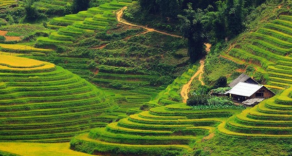 B&#225;o Th&#225;i Lan: B&#249;ng nổ du lịch l&#234;n Fansipan, nếu kh&#244;ng c&#243; sự ph&#225;t triển bền vững, Sapa sẽ &quot;tự bắn v&#224;o ch&#226;n m&#236;nh&quot;