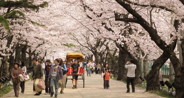 Trường tiếng Nhật – kênh tuyển dụng lao động trá hình của người Nhật?