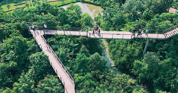 Đến Bangkok, đừng qu&#234;n gh&#233; khu rừng &quot;thần ti&#234;n&quot; được x&#226;y từ... b&#227;i r&#225;c của người Th&#225;i