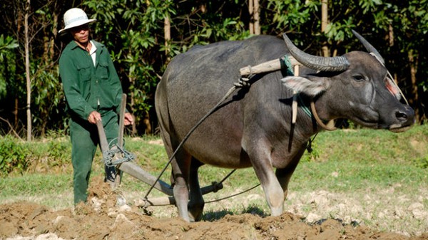 Chuyên gia kinh tế Lê Đăng Doanh: Sẽ không có một
