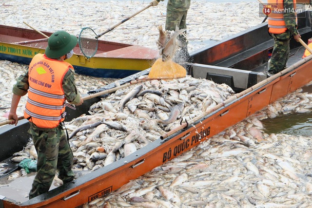 
Thuyền chất đầy cá chết khiến nhiều người bàng hoàng.
