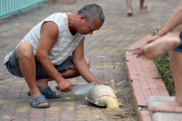 
Theo Zing.vn, nhiều người đứng xung quanh đặt câu hỏi liệu cá có nhiễm độc hay không mà người này lại liều lĩnh, chủ quan như vậy?
