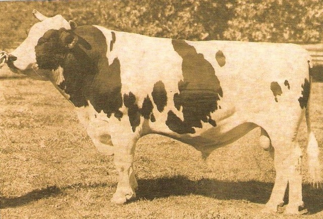 Pawnee Farm Arlinda Chief.