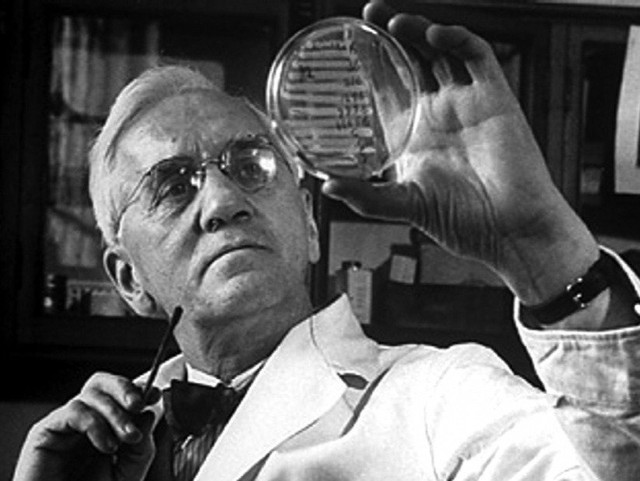 Alexander Fleming đã phát hiện ra kháng sinh bằng một đĩa thí nghiệm như thế này