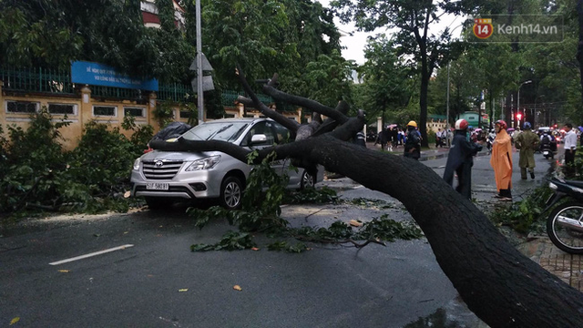 Tại 29 Lê Quý Đôn, phường 7, quận 3, một cây to đổ đè lên chiếc ô tô đang lưu thông qua đây. Tài xế bị thương nhẹ, hoảng loạn đạp cửa thoát thân. Hiện tại, toàn bộ khu vực này đã mất điện. Ảnh: Minh Tuệ.