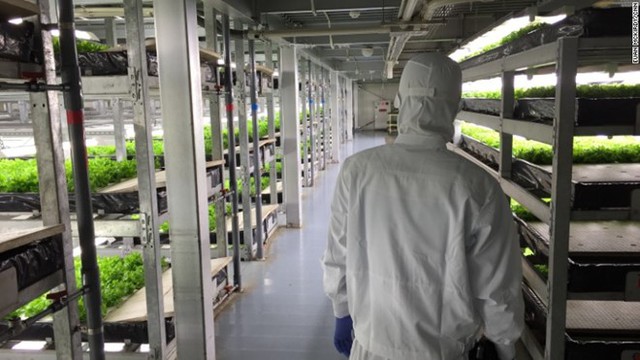 Công nhân tại đây phải mặc bộ đồ liền thân và đeo mặt nạ để giữ cho môi trường luôn sạch sẽ.