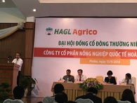 Câu hỏi không lời đáp trong đại hội cổ đông Hoàng Anh Gia Lai Câu hỏi không lời đáp trong đại hội cổ đông Hoàng Anh Gia Lai