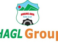 Hoàng Anh Gia Lai vẫn đứng thứ 16 danh sách thương hiệu giá trị nhất Việt Nam Hoàng Anh Gia Lai vẫn đứng thứ 16 danh sách thương hiệu giá trị nhất Việt Nam