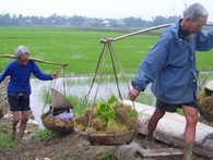 World Bank: Người Việt già quá nhanh, giờ là lúc tìm đến lao động trẻ các nước láng giềng World Bank: Người Việt già quá nhanh, giờ là lúc tìm đến lao động trẻ các nước láng giềng