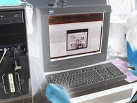 Kinh doanh trái phép trên mạng: Không xử hình sự? Kinh doanh trái phép trên mạng: Không xử hình sự?