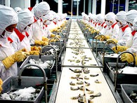 Vào TPP: Doanh nghiệp Việt đối mặt thách thức lấn át cơ hội Vào TPP: Doanh nghiệp Việt đối mặt thách thức lấn át cơ hội
