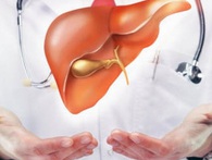 Những giải pháp bảo vệ gan hiệu quả bạn nên làm theo Những giải pháp bảo vệ gan hiệu quả bạn nên làm theo