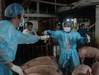 Bí thư Thăng: Thức ăn bẩn mà “cả làng đều vui, ăn bẩn vẫn vui" Bí thư Thăng: Thức ăn bẩn mà “cả làng đều vui, ăn bẩn vẫn vui"