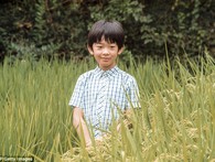 Hoàng tử nhí Nhật Bản được nuôi dạy thế nào trong gia đình hoàng gia? Hoàng tử nhí Nhật Bản được nuôi dạy thế nào trong gia đình hoàng gia?