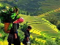 Quy hoạch Sapa trở thành trung tâm du lịch nghỉ dưỡng quốc tế Quy hoạch Sapa trở thành trung tâm du lịch nghỉ dưỡng quốc tế