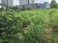 Số dự án BĐS Phương Trang trải dài khắp Đà Nẵng, hàng loạt dự án bị "cầm cố" ngân hàng Số dự án BĐS Phương Trang trải dài khắp Đà Nẵng, hàng loạt dự án bị "cầm cố" ngân hàng