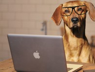 Sắp có công nghệ giúp người trò chuyện với cún yêu Sắp có công nghệ giúp người trò chuyện với cún yêu