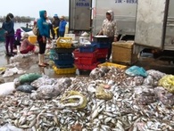 Sự cố biển miền Trung khiến riêng tỉnh Hà Tĩnh có thêm 24.400 người không có việc làm Sự cố biển miền Trung khiến riêng tỉnh Hà Tĩnh có thêm 24.400 người không có việc làm