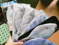 Túi đựng bút hình cá xuất xứ Trung Quốc bán tràn lan Túi đựng bút hình cá xuất xứ Trung Quốc bán tràn lan