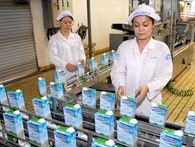 Sẽ bắt đầu thoái vốn Nhà nước tại Vinamilk ngay trong năm nay Sẽ bắt đầu thoái vốn Nhà nước tại Vinamilk ngay trong năm nay