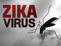 Zika hoành hành ở Singapore, Bộ Y tế họp bàn ứng phó Zika hoành hành ở Singapore, Bộ Y tế họp bàn ứng phó