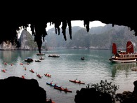 Quảng Ninh: Yêu cầu dừng hoạt động dịch vụ chèo kayak trên vịnh Hạ Long Quảng Ninh: Yêu cầu dừng hoạt động dịch vụ chèo kayak trên vịnh Hạ Long