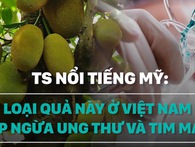 Tiến sĩ Mỹ: Loại quả này ở Việt Nam có thể giúp ngừa bệnh ung thư và tim mạch Tiến sĩ Mỹ: Loại quả này ở Việt Nam có thể giúp ngừa bệnh ung thư và tim mạch