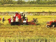 Là nước thuần nông, nhưng tại sao Việt Nam không hấp dẫn nhà đầu tư ngoại rót vốn vào nông nghiệp? Là nước thuần nông, nhưng tại sao Việt Nam không hấp dẫn nhà đầu tư ngoại rót vốn vào nông nghiệp?