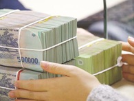 Giải cứu chăn nuôi lợn: Không phải cứ cho vay để càng nuôi càng lỗ Giải cứu chăn nuôi lợn: Không phải cứ cho vay để càng nuôi càng lỗ